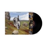 LP ENGL TEAC - THIS COULD BE TEXAS