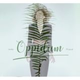 CD Lenka Filipová: Oppidum - Český Pop Rock na CD CD FILIPOVA LENKA - OPPIDUM
