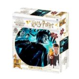 Harry Potter 3D puzzle - 300 dílků - 3D a 4D puzzle Harry Potter 3D puzzle - 300 dílků