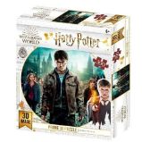 Harry Potter 3D puzzle - Harry, Hermiona a Ron 300 dílků - 3D a 4D puzzle Harry Potter 3D puzzle - Harry, Hermiona a Ron 300 dílků