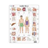 NAŠE TĚLO 35 d. EDU Puzzle - Dětské puzzle Naše telo - puzzle - OB1