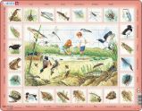 Puzzle MAXI - Život u rybníka/48 dílků Puzzle MAXI - Život u rybníka/48 dílků