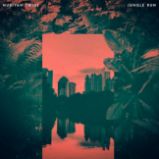 2 LP Nubiyan Twist - Jungle Run 2 LP Nubiyan Twist - Jungle Run
