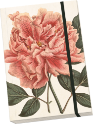 Notýsek Peony