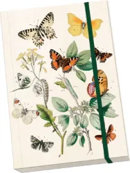 Notýsek Butterflies - Bloky, zápisníky Notýsek Butterflies