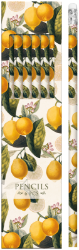 Dárkové balení tužek Citrus Dárkové balení tužek Citrus