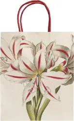 Dárková papírová taška - Green & White Christmas Amaryllis - Dárkové tašky Dárková papírová taška Green & White Christmas Amaryllis