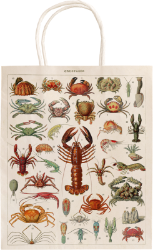 Dárková papírová taška - Crustaceans - Dárkové tašky Dárková papírová taška Crustaceans