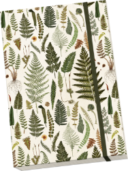 Notýsek Ferns Notýsek Ferns