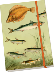 Notýsek Nordic Fishes - Bloky, zápisníky Notýsek Nordic Fishes