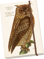 Notýsek Forest Animals - owl - Bloky, zápisníky Notýsek Forest Animals Owl