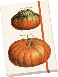 Notýsek Pumpkins Notýsek Pumpkins