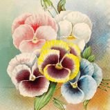 Papírový ubrousek Pastel Spring Pansy