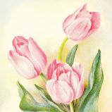 Papírový ubrousek Pastel Spring Tulip