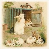 Papírový ubrousek Spring Animals Bunnies