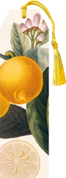 Knižní záložka Lemon - Záložky Knižní záložka Lemon