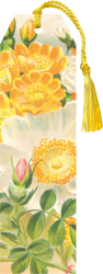 Knižní záložka Yellow Roses Knižní záložka Yellow Roses