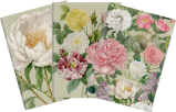 Sada tří notýsků - Peonies & Roses