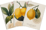 Sada tří notýsků - Lemons - Bloky, zápisníky Sada tří notýsků - Lemons