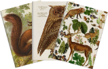 Sada tří notýsků Forest Animals - Bloky, zápisníky Sada tří notýsků Forest Animals