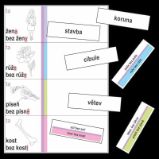 Vzory podstatných jmen - kartičky k procvičování třídění slov podle vzorů podstatných jmen Vzory podstatných jmen - kartičky k procvičování třídění slov podle vzorů podstatných jmen