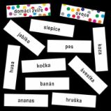 Význam slov - kartičky se slovy určené k třídění slov dle významu