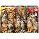 Puzzle Kočky a ptáci 500 dílků - Puzzle Puzzle Kočky a ptáci 500 dílků