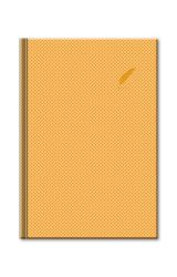 Notes Elegant/zlatý