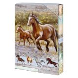 Box na sešity A4 Wild horses Box na sešity A4 Wild horses