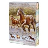 Box na sešity A5 Wild horses - Školní desky a boxy Box na sešity A5 Wild horses