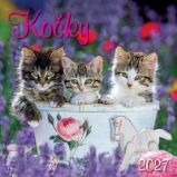 Kalendář 2027 nástěnný: KOČKY