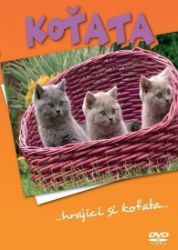 Koťata - DVD - Dokumentární Koťata - DVD