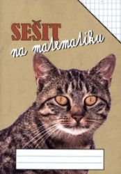 Sešit na matematiku - obdélníková síť 5 x 7mm - Matematika pro 1. stupeň ZŠ Sešit na matematiku - obdélníková síť 5 x 7mm