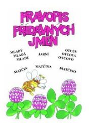 Pravopis přídavných jmen (PANSOFIA) Pravopis přídavných jmen (PANSOFIA)