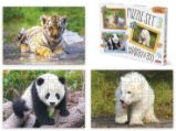 Puzzle SET 3 - Mláďátka v ZOO - Puzzle Puzzle SET 3 - Mláďátka v ZOO