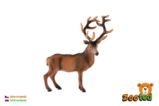 Zooted Jelen evropský plast 15 cm - Figurky a hrací sety Jelen evropský zooted plast 15cm v sáčku