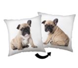 Polštářek - Bulldog - Home deco Polštářek - Bulldog