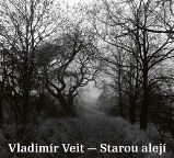 CD Starou alejí