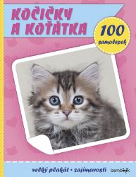 Kočičky a koťátka - kolektiv autorů,neznámý - Kreativní knihy pro děti Kočičky a koťátka