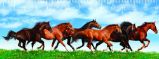 3D Pravítko - Horses in green field deep