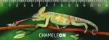3D pravítko Chameleon