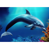 Pohlednice 3D Corl Dolphin AI - Pohlednice, přání 3D Delfín korálový útes AI