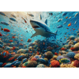 Pohlednice 3D Coral Shark Pohlednice 3D Coral Shark