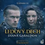 Ledový dech - 5 CDmp3 (Čte Jitka Ježková) - audiokniha
