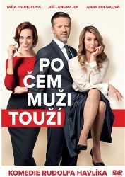 Po čem muži touží - DVD Po čem muži touží - DVD