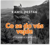 CD Co se do vás vejde (Čte Martin Stránský) - audiokniha - Kamil Pešťák - Audioknihy - česká literatura CD Co se do vás vejde (Čte Martin Stránský) - audiokniha