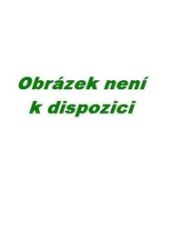 CD Angel Blues - Pavel Anděl Pokorný 