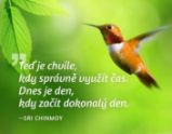 Magnet na lednici - Teď je chvíle, kdy správně využít čas. Dnes je den, kdy začít dokonalý