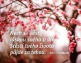 Magnet na lednici - Nech se vést láskou svého srdce. Štěstí tvého života půjde za tebou. - Sri Chinmoy - Magnety Magnet na lednici - Nech se vést láskou svého srdce. Štěstí tvého života půjde za tebou.