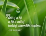 Magnet na lednici - Miluj a žij a žij a miluj každý okamžik naplno. - Sri Chinmoy - Magnety Magnet na lednici - Miluj a žij a žij a miluj každý okamžik naplno.